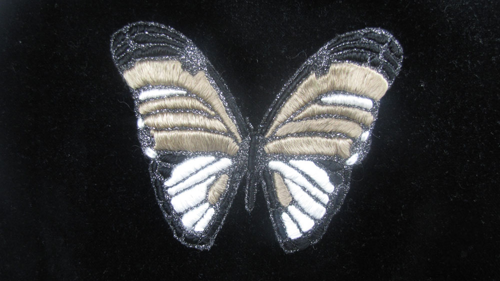 papillon velour noir-brodalie.fr