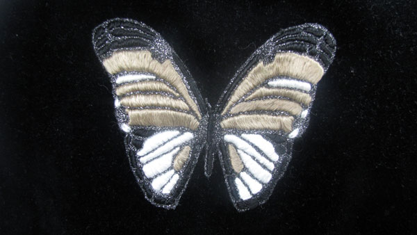 Papillon velours noir - brodalie.fr